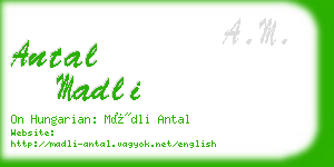 antal madli business card